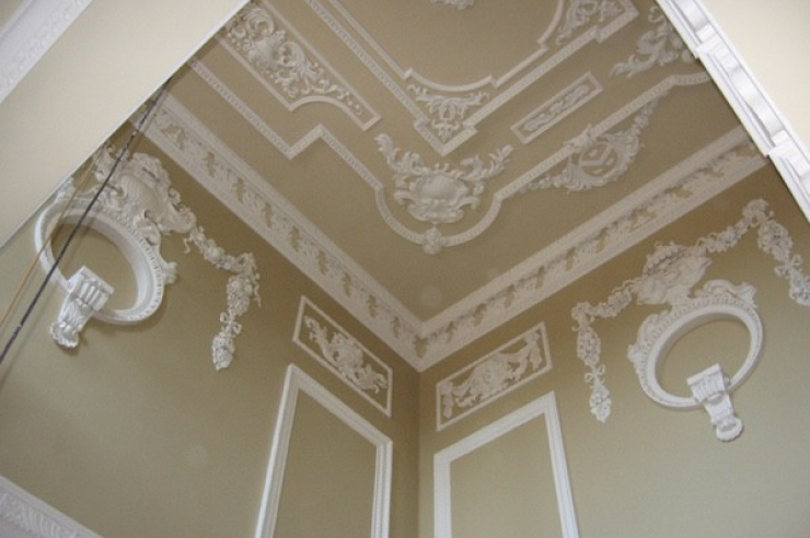 Conservation Services